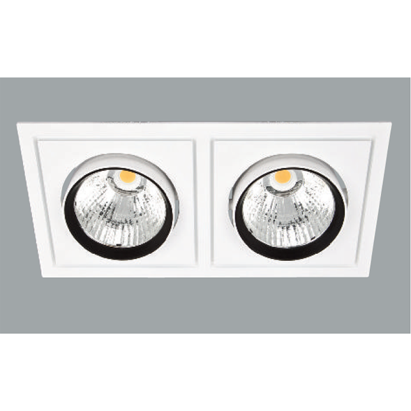 A white and black double led downlight with grey background.