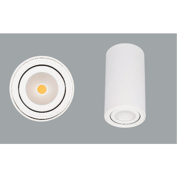 White surface mounted ceiling light on a grey background