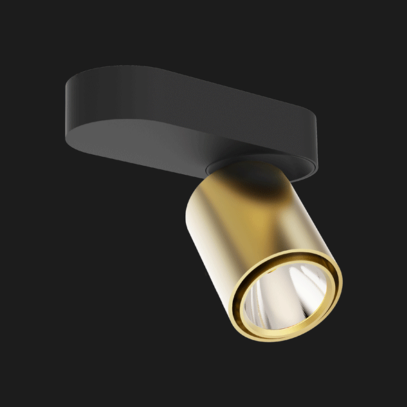 Black and gold base organic ceiling light on a black background