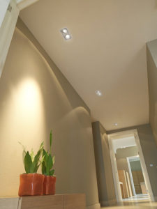 A design hallway with plants and led downlights